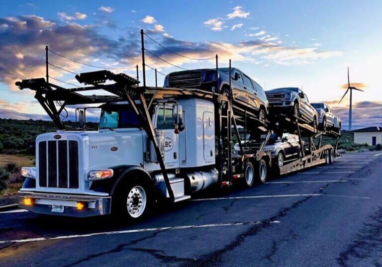 Truck with snowbirds loaded for transport.